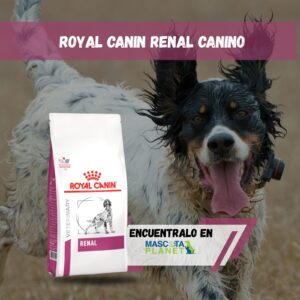 ROYAL CANIN RENAL CANINO