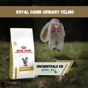 ROYAL CANIN URINARY FELINO