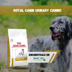 ROYAL CANIN URINARY CANINO TALLA MEDIANA Y GRANDE