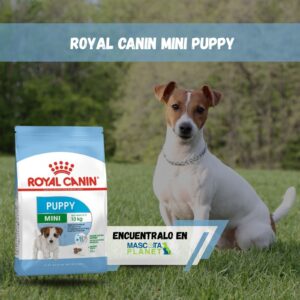 ROYAL CANIN MINI PUPPY (3KG +1KG GRATIS)