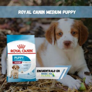 ROYAL CANIN MEDIUM PUPPY