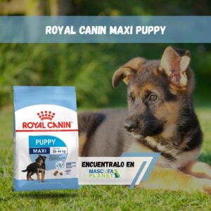 ROYAL CANIN MAXI PUPPY