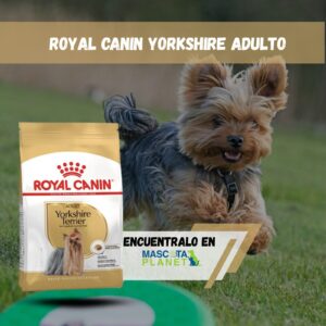 ROYAL CANIN YORKSHIRE TERRIER ADULTO