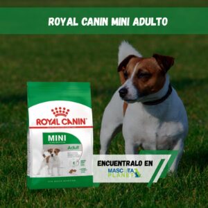 ROYAL CANIN MINI ADULT