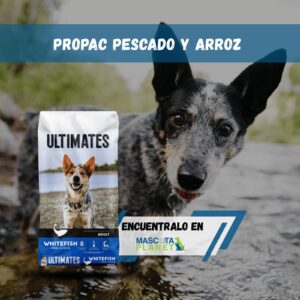 PRO PAC ULTIMATES PESCADO Y ARROZ