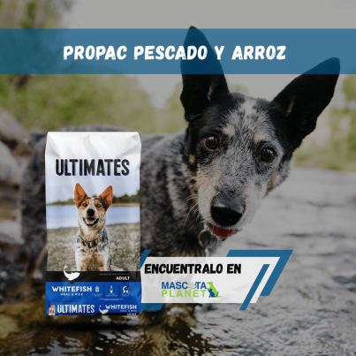 WhatsApp Image 2026-03-18 at 07.44.26 (1)