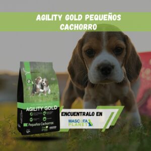 AGILITY GOLD CACHORRO RAZA PEQUEÑA