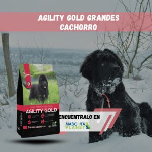 AGILITY GOLD CACHORRO RAZA MEDIANA Y GRANDE