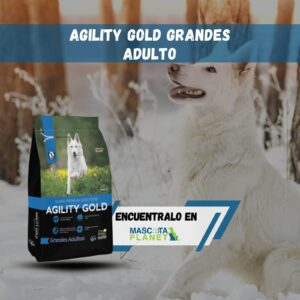 AGILITY GOLD RAZA GRANDE