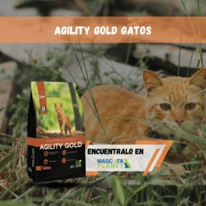 AGILITY GATOS ADULTOS (SALMON)